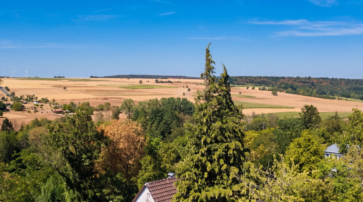 Panorama über Felder und den Odenwald
